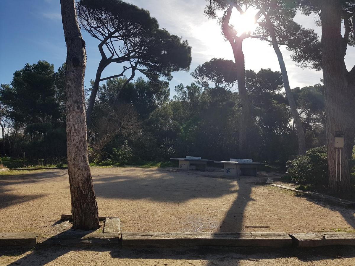 Le Studio De Giens Hyères Exteriér fotografie