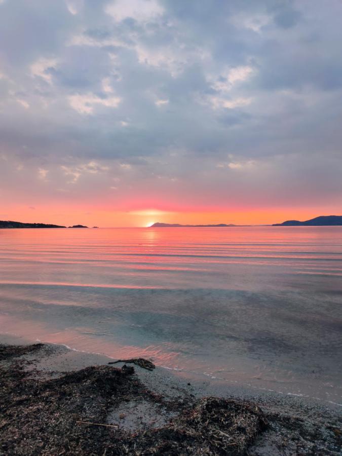 Le Studio De Giens Hyères Exteriér fotografie