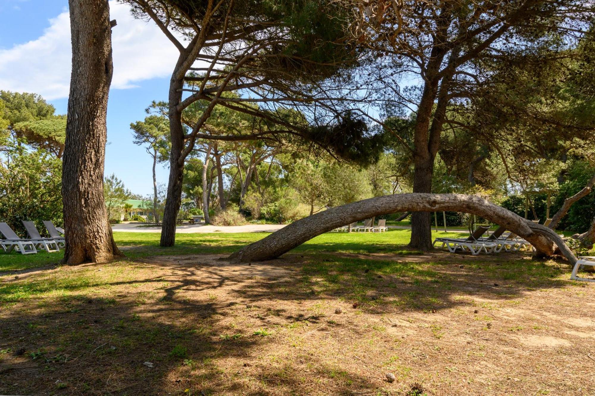 Le Studio De Giens Hyères Exteriér fotografie